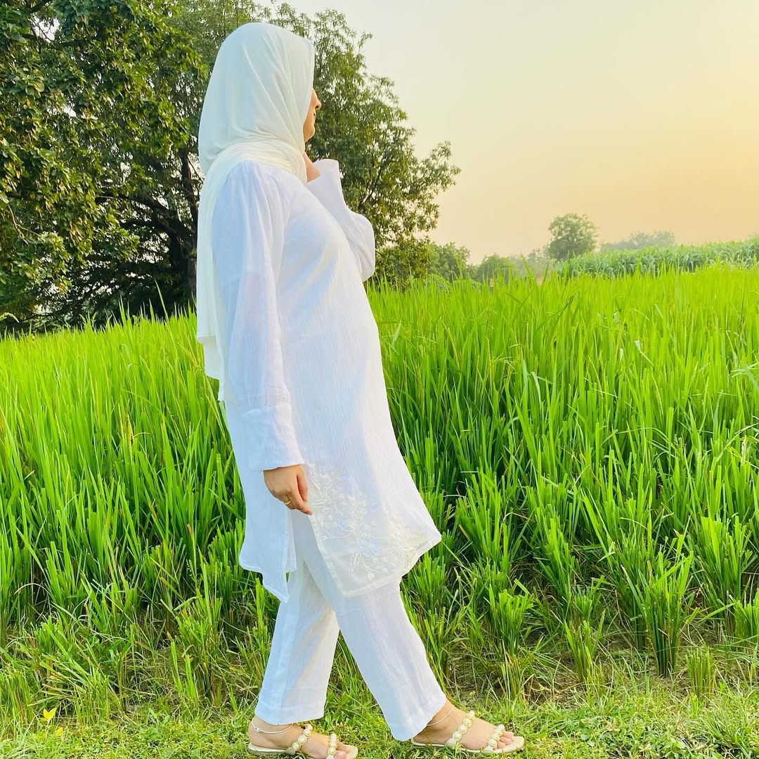 Zari | زری